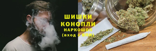 прущие грибы Пролетарск