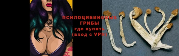 ешки Белокуриха