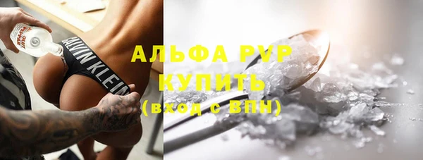 ешки Белокуриха