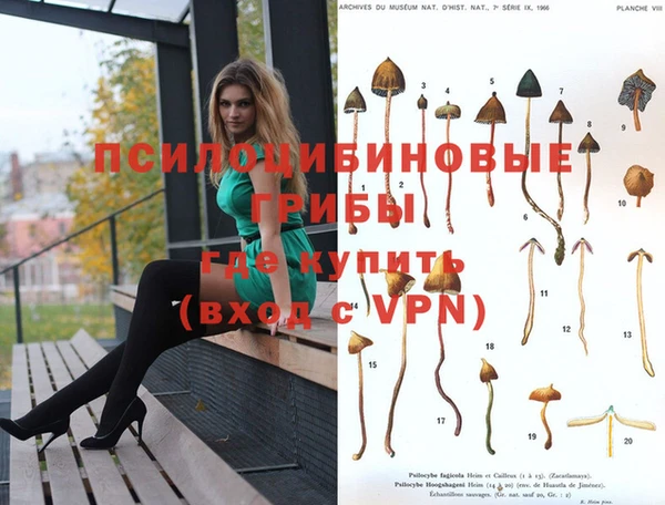 тгк Балахна