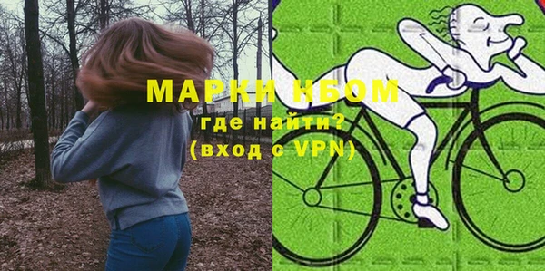 ешки Белокуриха