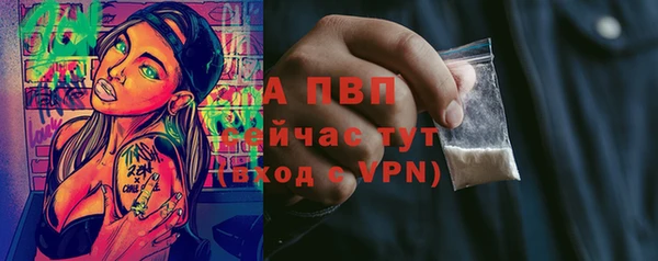 тгк Балахна